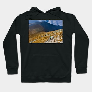 Mother and son hiking into the mountains Hoodie